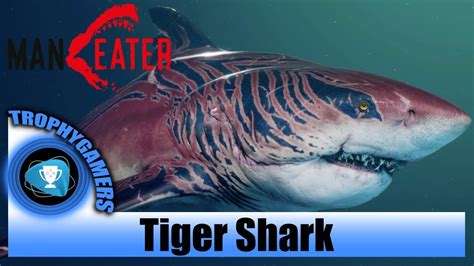 Maneater Tiger Shark DLC Gameplay - YouTube