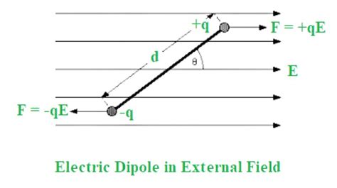 Torque on a Dipole in a Uniform Electric Field