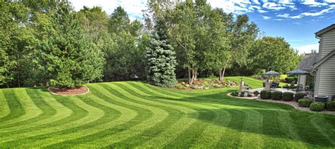 Lawn Care Contractor in Las Vegas NV | Fall lawn, Lawn maintenance, Fall lawn care