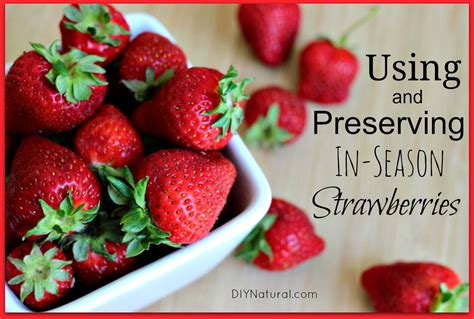 Fresh Strawberry Recipes and Other Ways To Use and Preserve Them