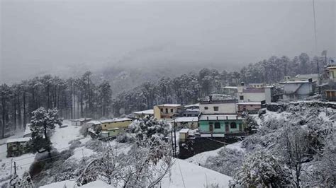 Snowfall in Chakrata and Mussoorie - WildHawk