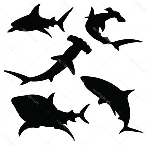 Shark Silhouette Vector at Vectorified.com | Collection of Shark Silhouette Vector free for ...