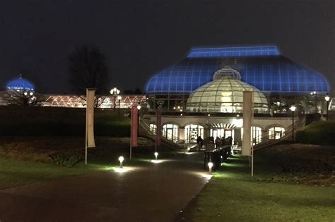 Making History: Behind the Scenes of Our Palm Court Restoration | Phipps Conservatory and ...