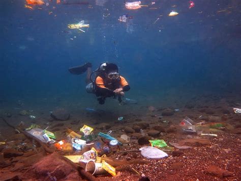 5 Bahaya Sampah Plastik Bagi Lingkungan & Kesehatan Makhluk Hidup ...