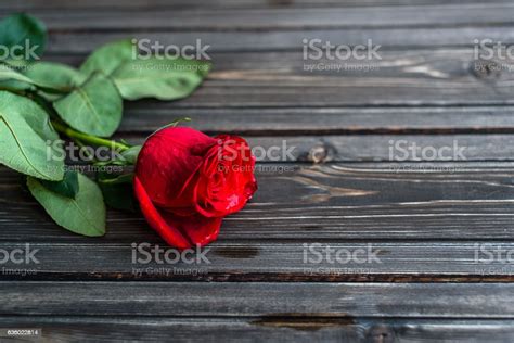 Romantic Background With Red Rose On Wood Table Top View Stock Photo - Download Image Now - iStock