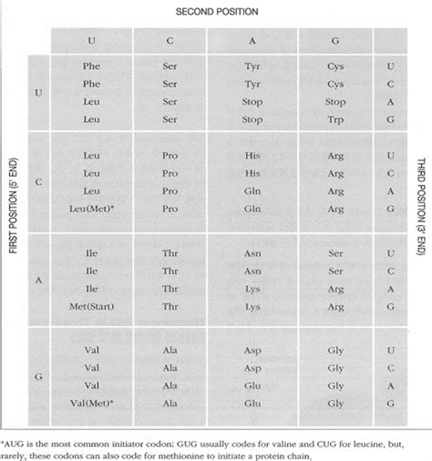 Study of Everything in Nature: The Genetic Code