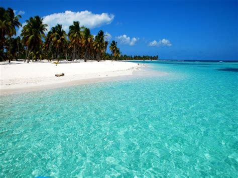 Saona Island, Dominican Republic | Speedboat | Pro Excursions Bayahibe in 2020 | Saona island ...