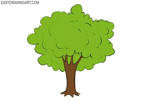 How To Draw A Realistic Tree Step By Step Easy