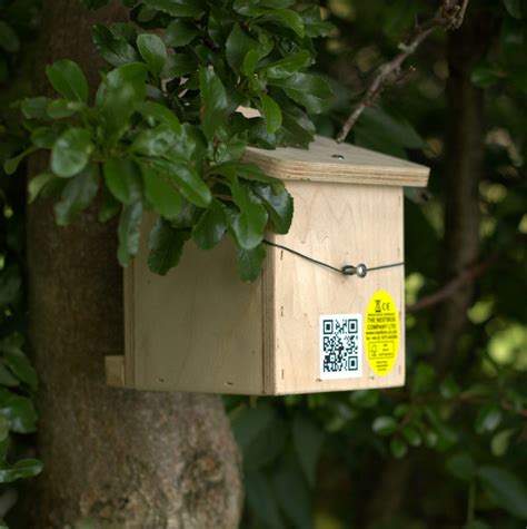 Dormouse Nest Box | The Nestbox Company