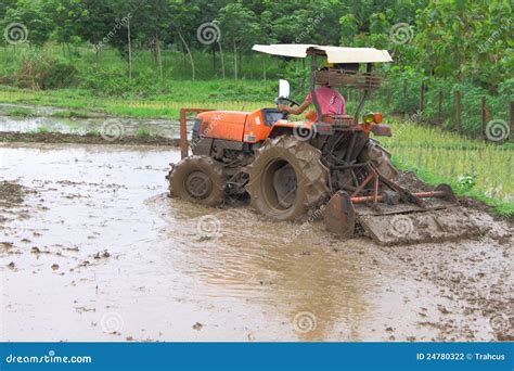 Mechanization Of Thai Farmer For Rice Cultivation Stock Photography - Image: 24780322