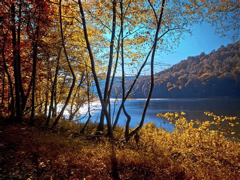 Allegheny River Trail Photograph by Linda Unger - Fine Art America