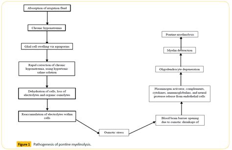 Current Concepts in Pontine Myelinolysis: Review of Literature