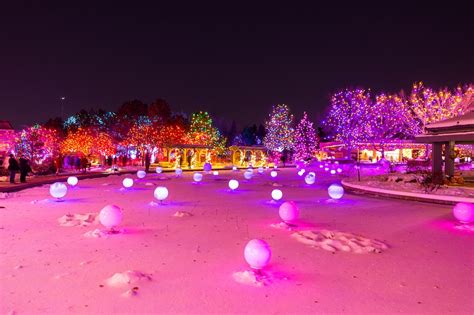 Blossoms of Light | Denver Botanic Gardens