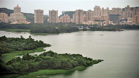 Analysis finds Powai lake's northern part most polluted