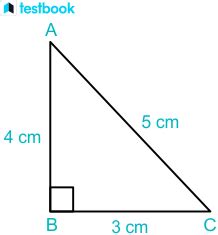 Perimeter of a Right Triangle Formula, Methods & Examples