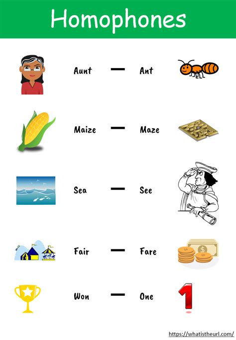 Homophones Charts - Your Home Teacher