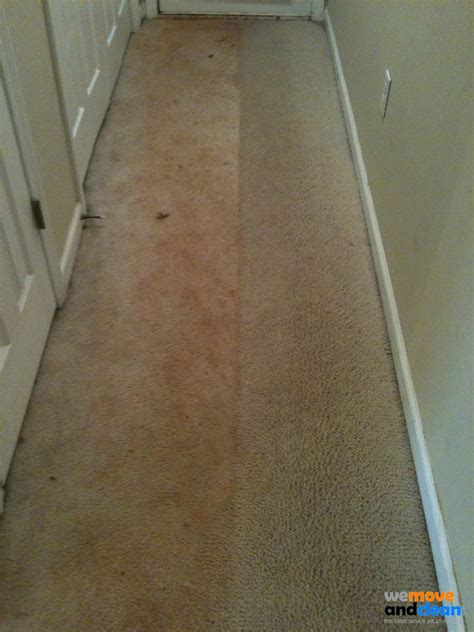 Carpet Cleaning Swindon | Over 400 Reviews | We Move and Clean