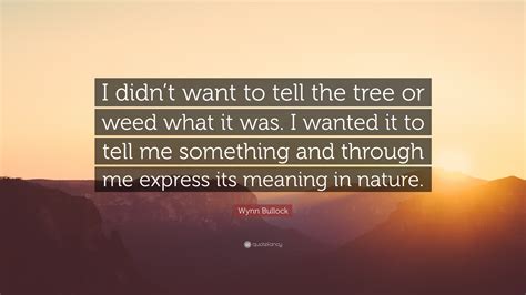 Wynn Bullock Quote: “I didn’t want to tell the tree or weed what it was. I wanted it to tell me ...