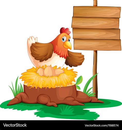 A hen laying eggs Royalty Free Vector Image - VectorStock