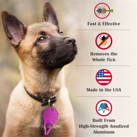 Effortless Dog Tick Removal Tool, Safeguard Your Pets From Ticks - 6pk : Target