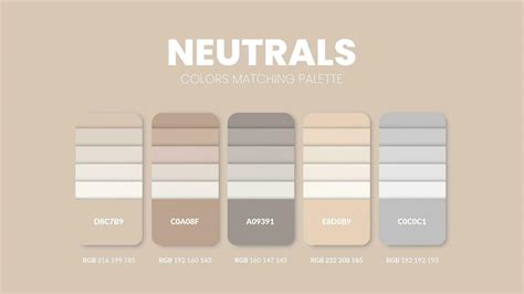 Color palette in a Neutrals colour theme collections. Color scheme or ...