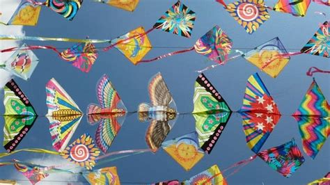 Makar Sankranti 2020: Kite flying is an important aspect of the ...