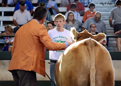 Linde’s Livestock Photography | Iowa State Fair Photos | The Pulse