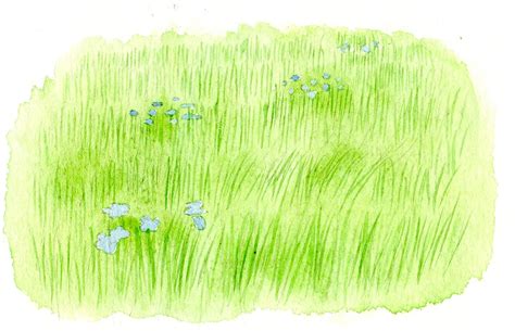 Craftsy.com | Express Your Creativity! | Watercolor flowers tutorial, Grass painting, Watercolor ...