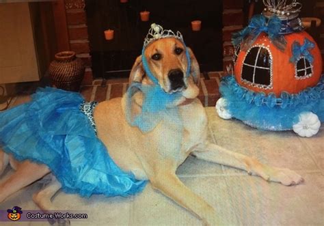 DIY Princess Dog Costume | Creative DIY Costumes