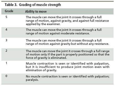 muscle strength grading | How Muscle Works, and the Implications of ...