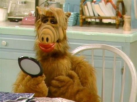 Funny Alf Quotes. QuotesGram | Alf, Alf tv series, 80 tv shows