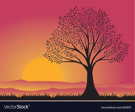 Shadow of tree Royalty Free Vector Image - VectorStock