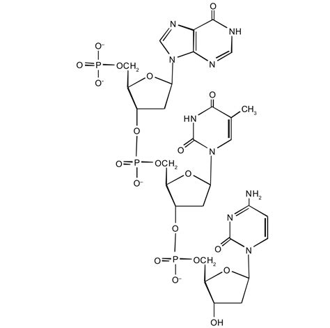 19.2 Nucleic Acid Structure | The Basics of General, Organic, and ...