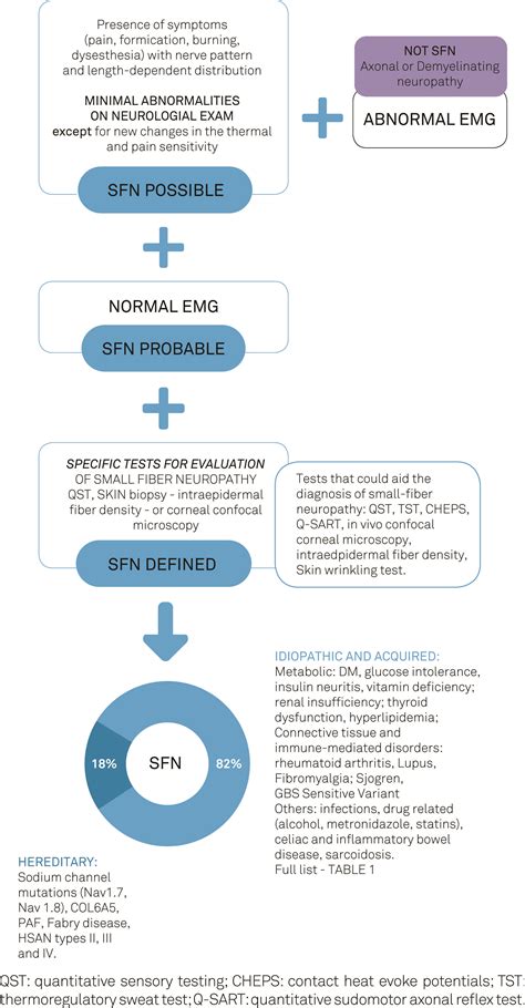 SciELO - Brasil - Definition and diagnosis of small fiber neuropathy: consensus from the ...