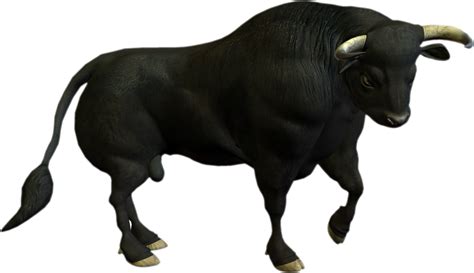 Bull Png PNG Image | Bull, Animals, Png