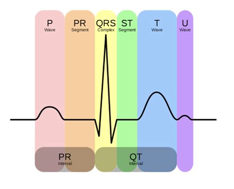 QT INTERVAL – ECG Weekly