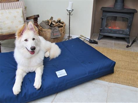 Orthopedic Dog Beds - Handmade in the UK by Berkeley