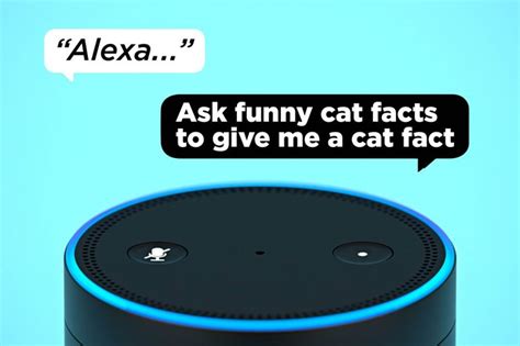 Funny Alexa Questions to Ask Your Amazon Echo | Reader's Digest