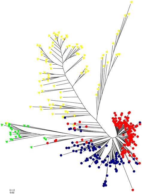 Frontiers | Target SSR-Seq: A Novel SSR Genotyping Technology Associate ...