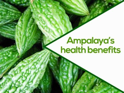 Get To Know The Health Benefits of Each Ampalaya Plus Ingredient | Ampalaya Plus - Bitter Gourd ...