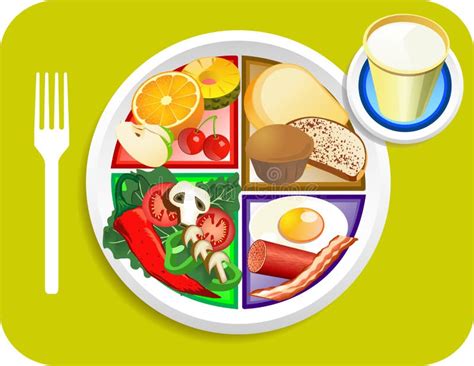 Food My Plate Breakfast Portions Stock Vector - Image: 19800936