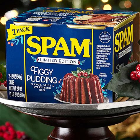 SPAM Figgy Pudding - Cool Stuff To Buy inc