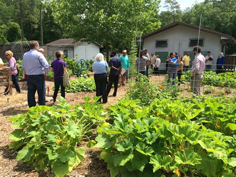 Hosting a Farm Tour is an Excellent Marketing Tool | Panhandle Agriculture