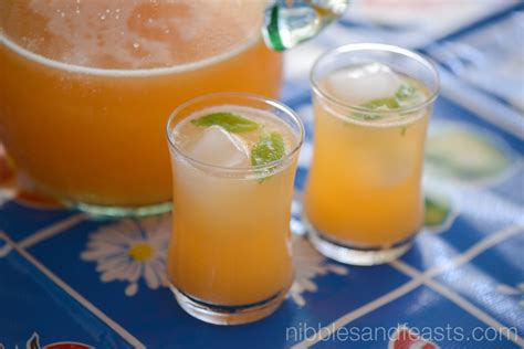 Agua Fresca de Melon | Cantaloupe Cooler - Nibbles and Feasts