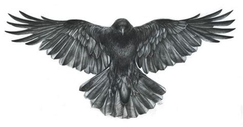 bird tattoo | Crow tattoo, Crow tattoo design, Raven tattoo