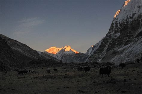 Kanchenjunga Base Camp Trek | Himalayan Quests