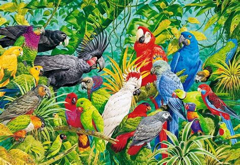 Exotic birds, colorful, pretty, tree, exotic, leaves, birds, bonito, parrots, HD wallpaper | Peakpx