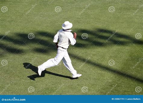 Cricket Fielder Royalty Free Stock Images - Image: 2306119