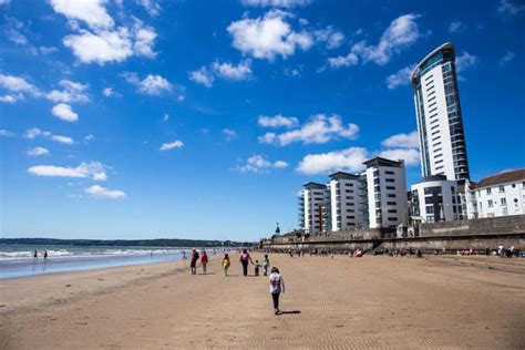 What Beaches Can Dogs Go On In Swansea