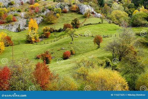 Autumn mountain meadow stock image. Image of ecology - 11627325